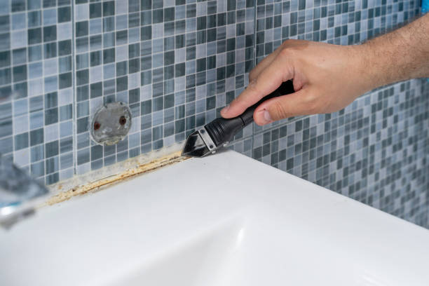 Mold Testing and Removal in Maple Park, IL